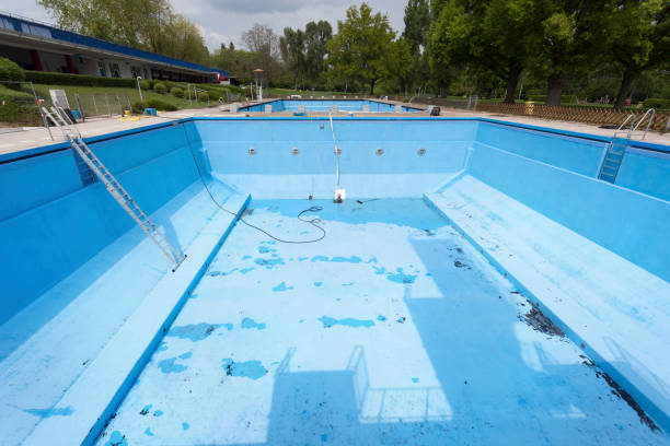 Best Water damage contractors near me  in Oak Ridge, FL