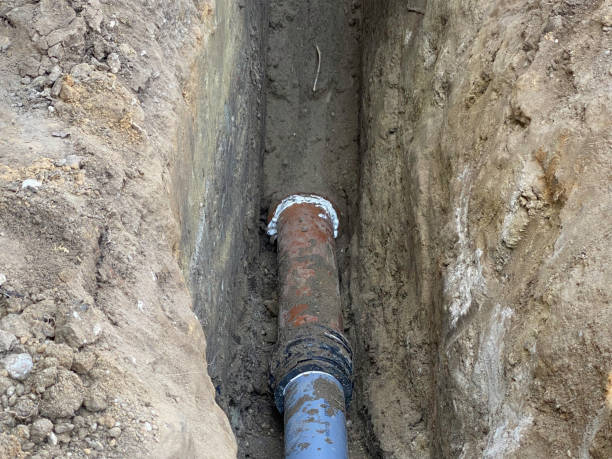 Best Flood damage cleanup  in Oak Ridge, FL