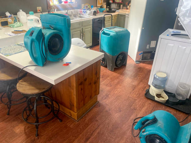 Best Water damage cleanup near me  in Oak Ridge, FL