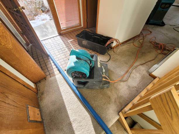 Best Commercial water damage restoration  in Oak Ridge, FL