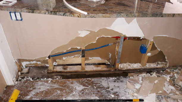 Best Ceiling water damage repair  in Oak Ridge, FL