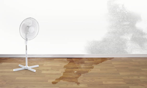 Best Water damage restoration near me  in Oak Ridge, FL
