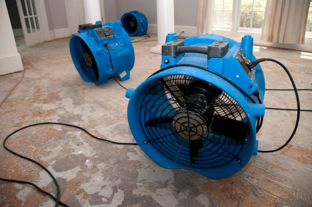 Best Carpet water damage restoration  in Oak Ridge, FL