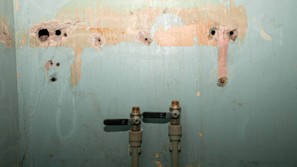 Best Emergency water damage restoration  in Oak Ridge, FL
