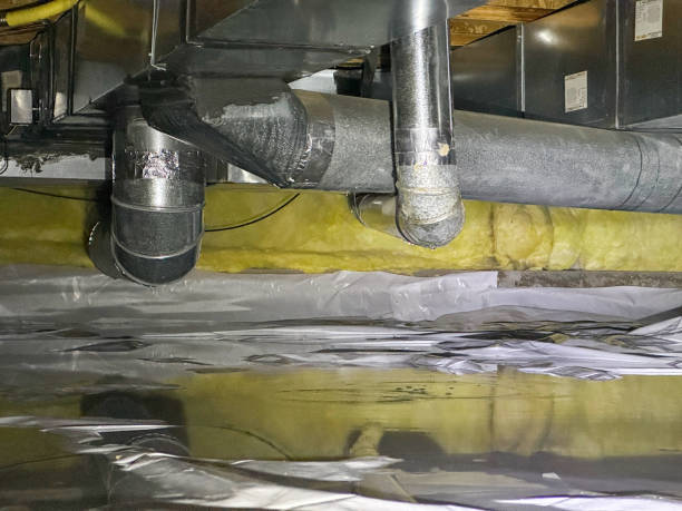 Best 24/7 water damage repair  in Oak Ridge, FL