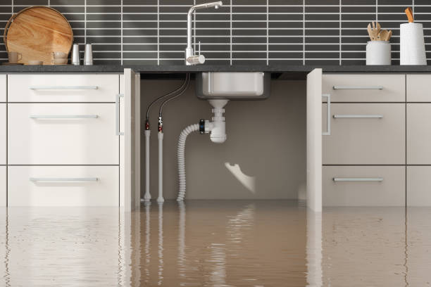 Best Water damage restoration services  in Oak Ridge, FL