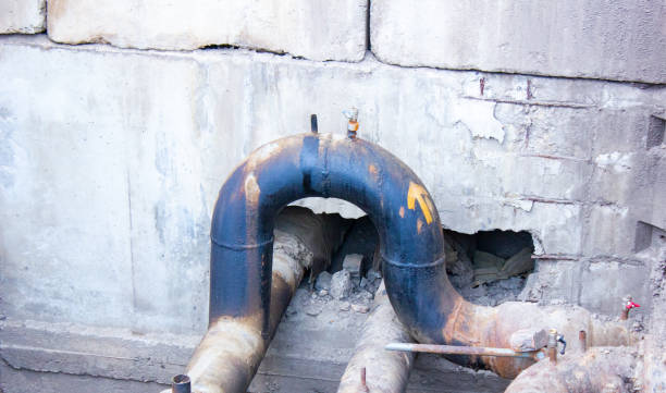 Best 24/7 water damage repair  in Oak Ridge, FL