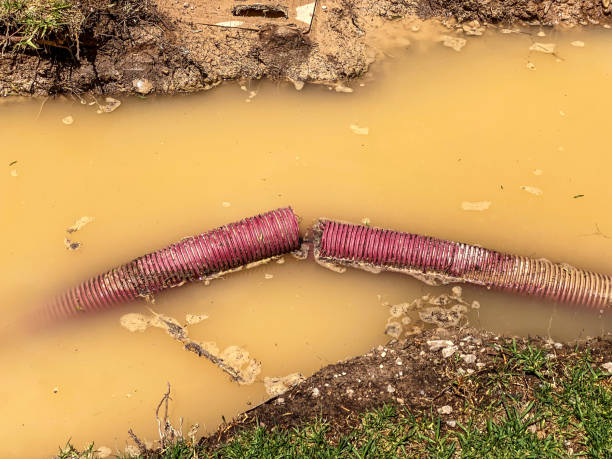 Best Local water damage restoration  in Oak Ridge, FL