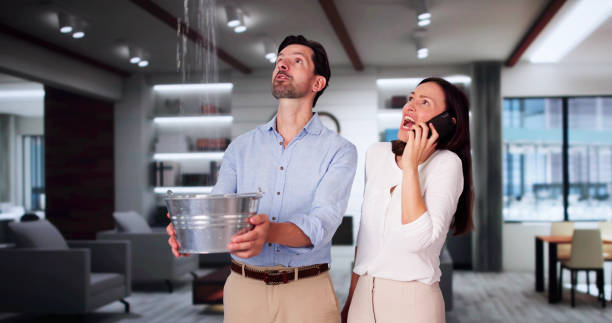 Best Water damage restoration near me  in Oak Ridge, FL